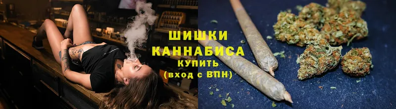 Бошки марихуана THC 21%  закладка  Моздок 